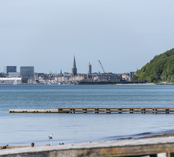 Sommer ved Bellevue med kig mod Aarhus