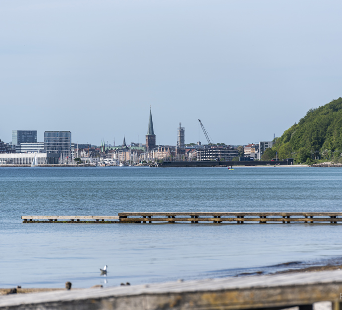 Sommer ved Bellevue med kig mod Aarhus