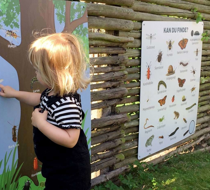 Pige finder insekter på udendørs tavler med dyr