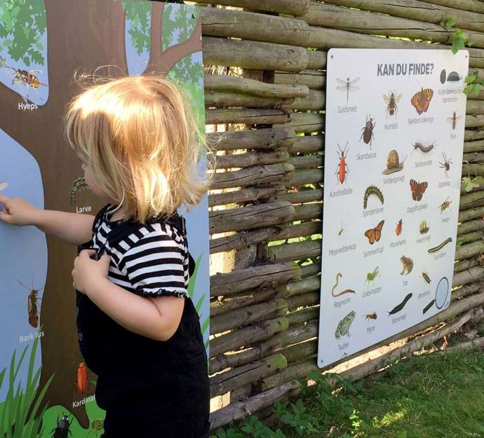 Pige finder insekter på udendørs tavler med dyr