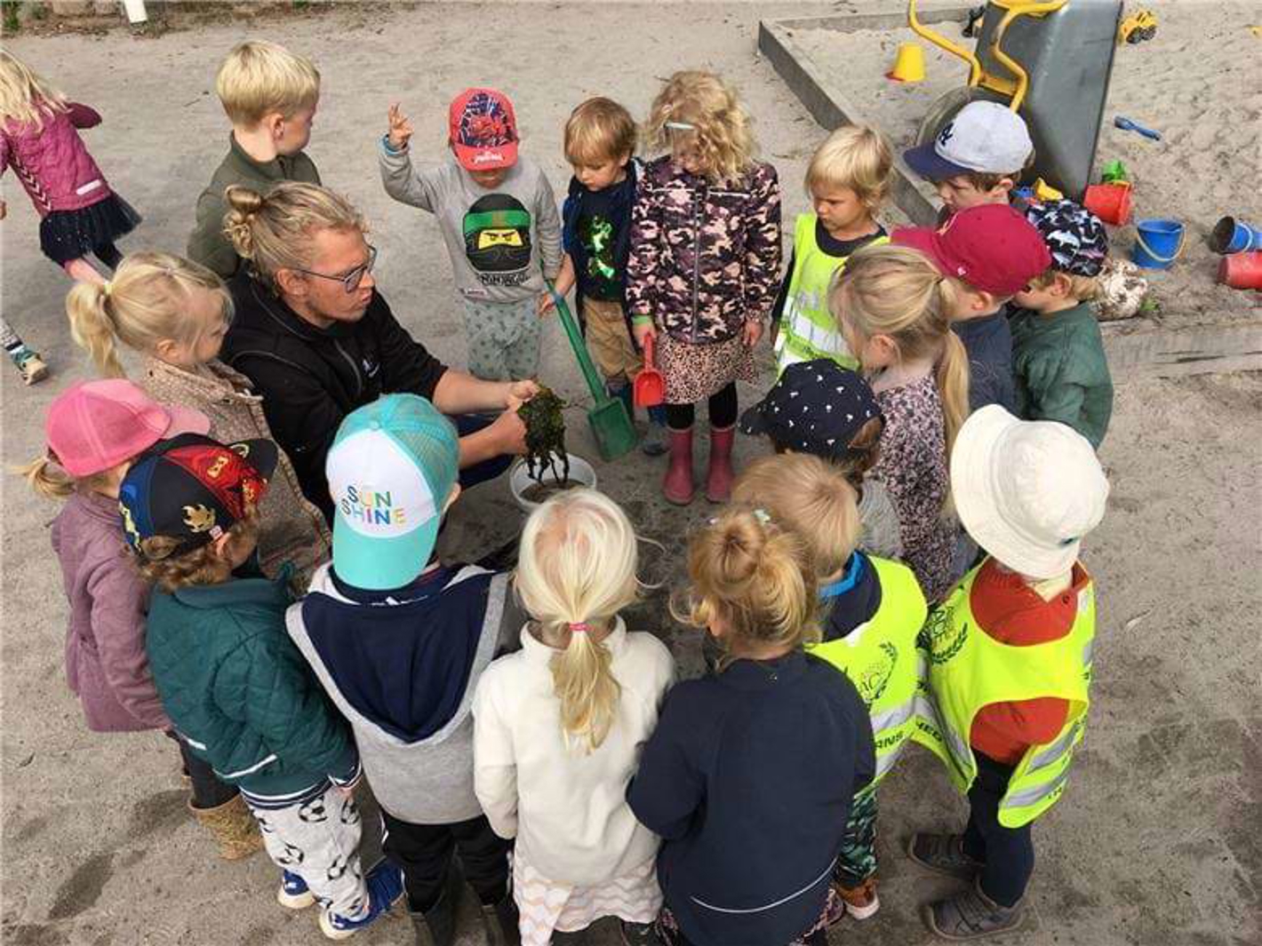 Voksen og børnehavebørn undersøger ting fra naturen